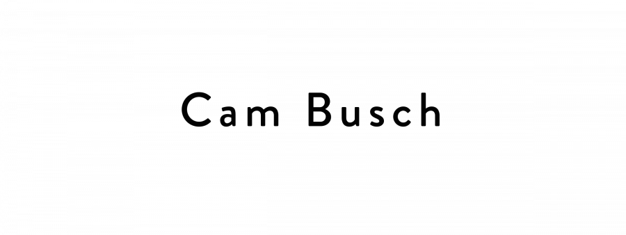 Busch