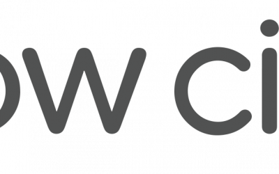 Job Opportunity at Snow City Arts: Teaching Artist