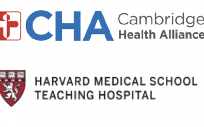 Harvard Macy Institute’s Art Museum-based Health Professions Education Fellowship