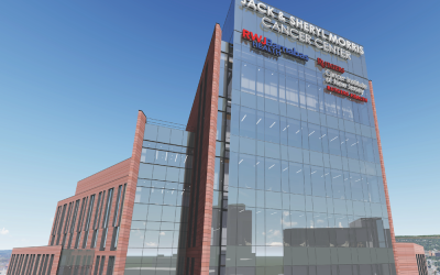 Commission Opportunity – Hospital Sculpture