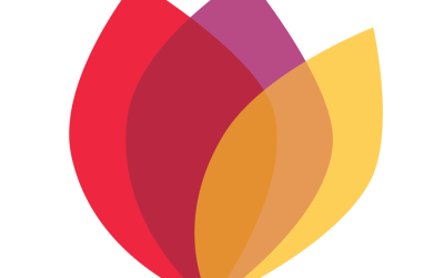 The Creative Connections Project is seeking a Project Assistant (Programming)