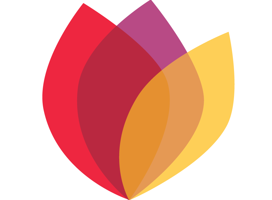 The Creative Connections Project is seeking a Project Assistant (Programming)
