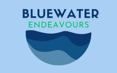Bluewater Endeavours Virtual Art, Science & Design Residency