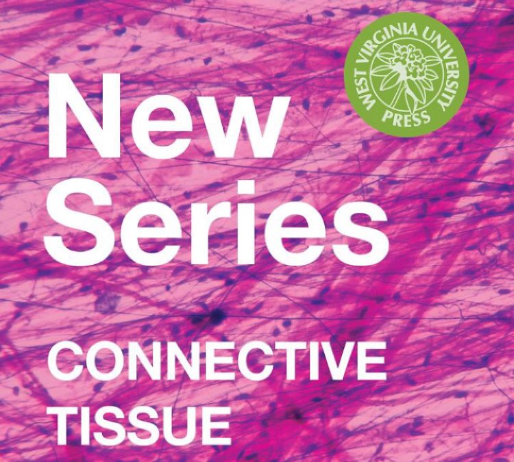 New Book Series Accepting Proposals