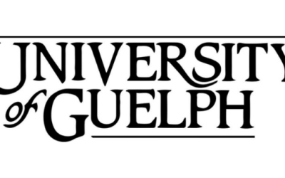 Assistant Professor in Studio Art and Creative Arts, Health, and Wellness