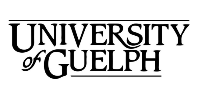 Assistant Professor in Studio Art and Creative Arts, Health, and Wellness